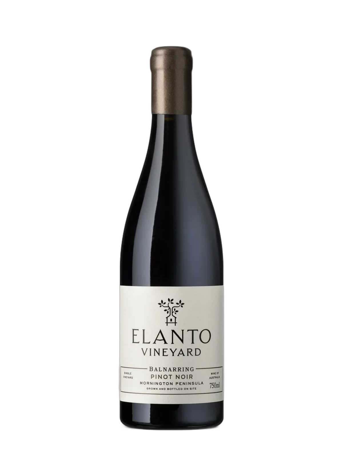 Elanto Pinot Noir 2024