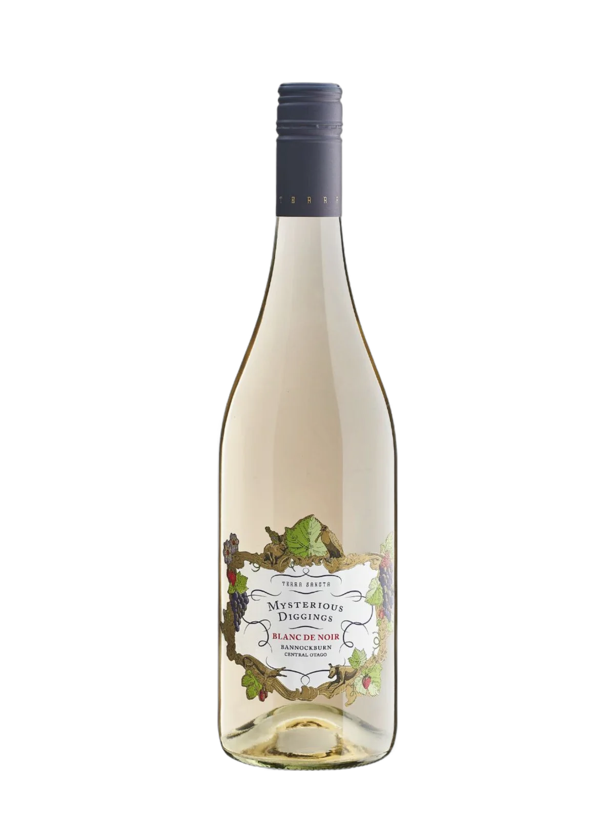 Terra Sancta Blanc de Noir White 2024