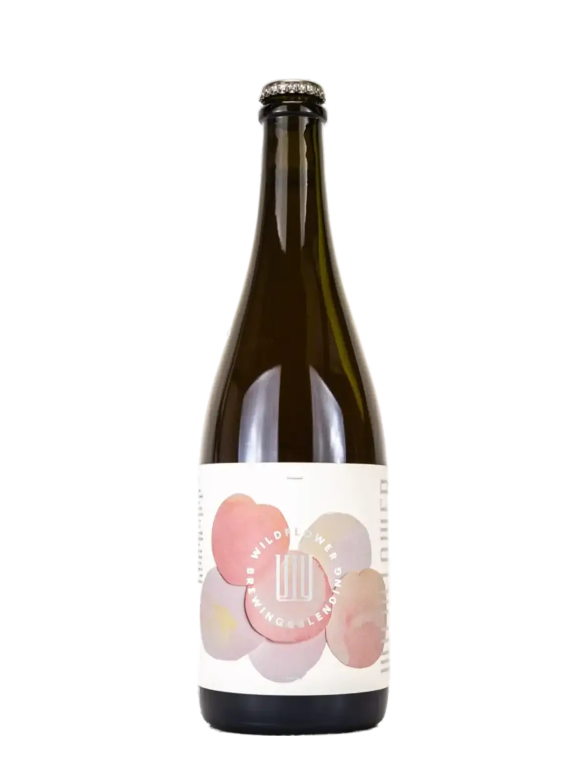 Wildflower 'St Abigail' Peach 2025