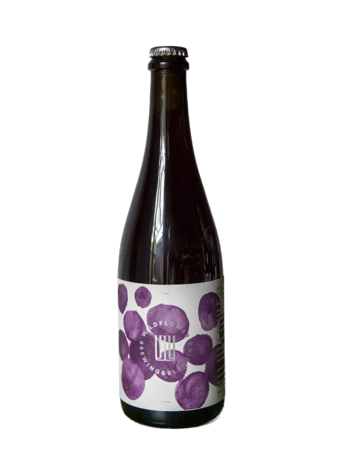 Wildflower 'St Phoebe' Plum 2025
